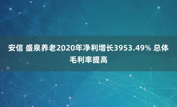 安信 盛泉养老2020年净利增长3953.49% 总体毛利率提高