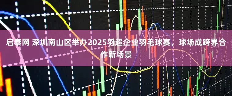启泰网 深圳南山区举办2025羽超企业羽毛球赛，球场成跨界合作新场景
