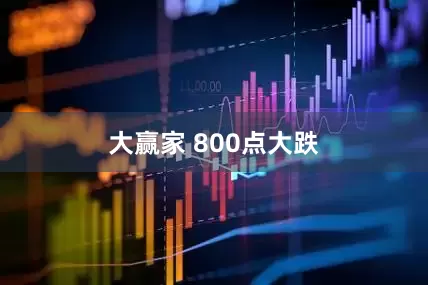 大赢家 800点大跌
